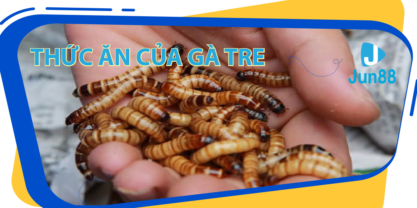 sunvin casino LÀ GÌ